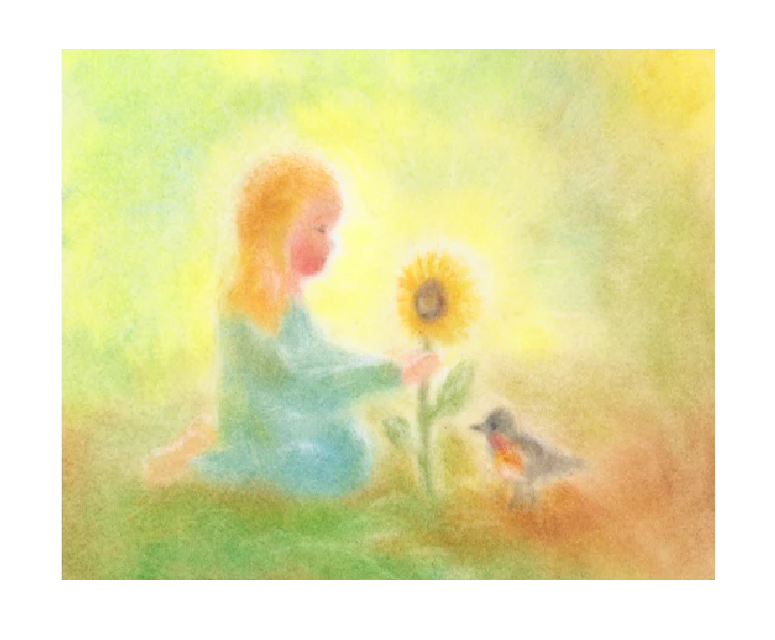 Seccorell Postcard Sunflower - Aurifer